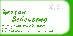marton sebesteny business card