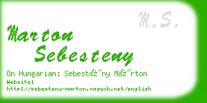 marton sebesteny business card